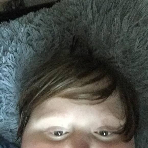 Meet your Posher, Joey - Picture 1 of 1